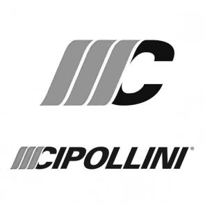 CIPOLLINI