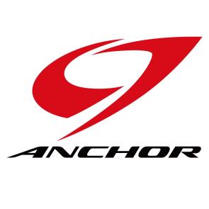 anchor-BRIDGESTONE