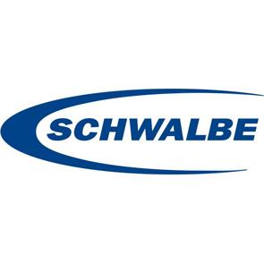 SCHWALBE